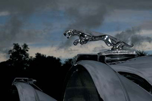 Auto-/Oldtimer - Fotografie